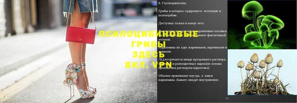 не бодяженный Магас