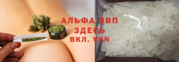 сатива Медногорск
