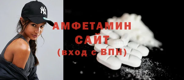 твердый Мегион