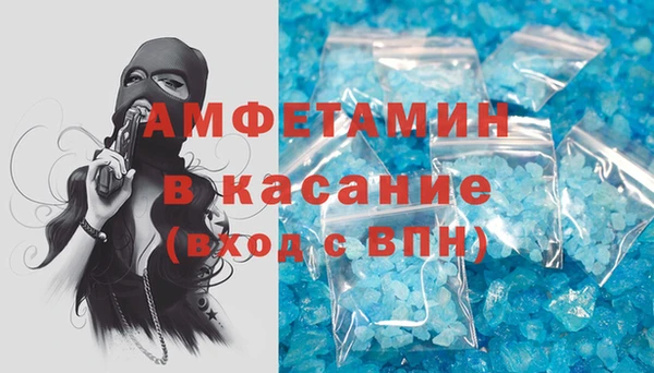 твердый Мегион