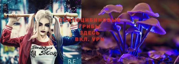 MESCALINE Медвежьегорск